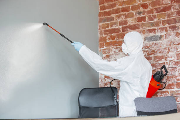 Best Environmental Consulting for Mold Prevention  in Medical Lake, WA